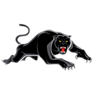 Panthers.png