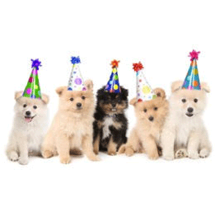 puppiesx310__square.gif
