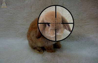 The+Bunny+Gets+It.jpg