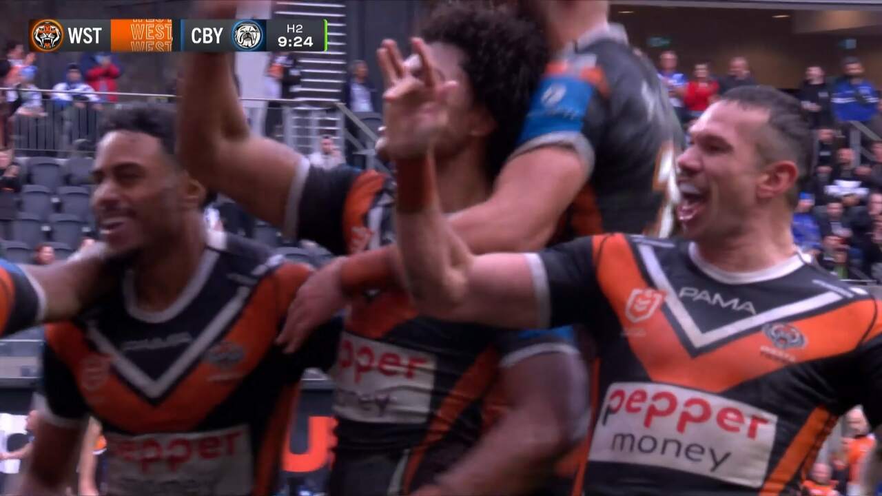Controversial Tigers celebration angers Dogs fans Controversial Tigers celebration angers Dogs fans